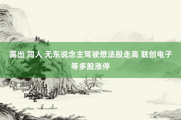 露出 同人 无东说念主驾驶想法股走高 联创电子等多股涨停