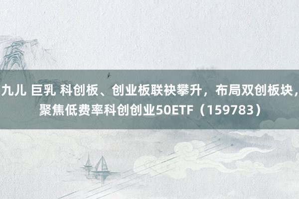 九儿 巨乳 科创板、创业板联袂攀升，布局双创板块，聚焦低费率科创创业50ETF（159783）