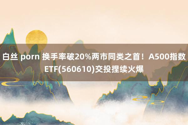 白丝 porn 换手率破20%两市同类之首！A500指数ETF(560610)交投捏续火爆