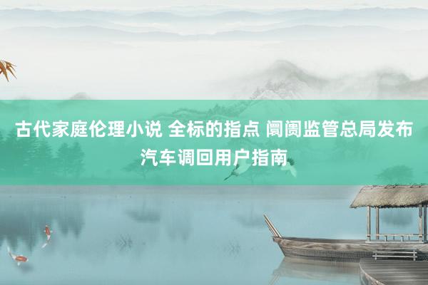 古代家庭伦理小说 全标的指点 阛阓监管总局发布汽车调回用户指南